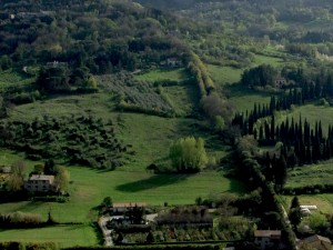 IMG_2171