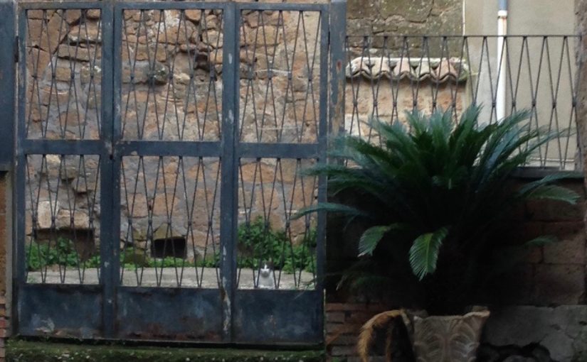 Lockdown – Day 38