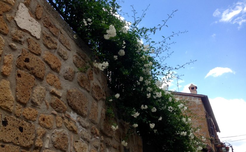La Pausa – May 24