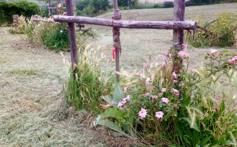 Lockdown – Day 66